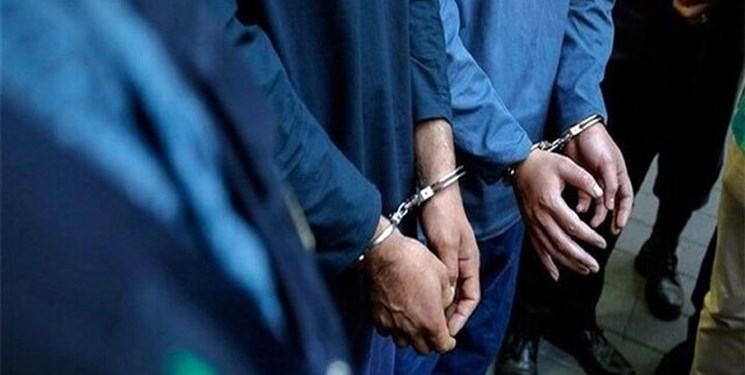 سارقان سیم و کابل در دشتستان دستگیر شدند