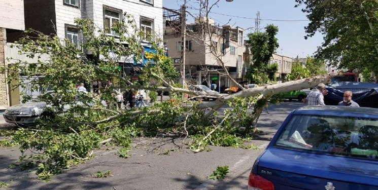 ‌وزش باد شدید و هشدار سقوط اشیاء ‌و شکستن‌ درختان در 9 استان