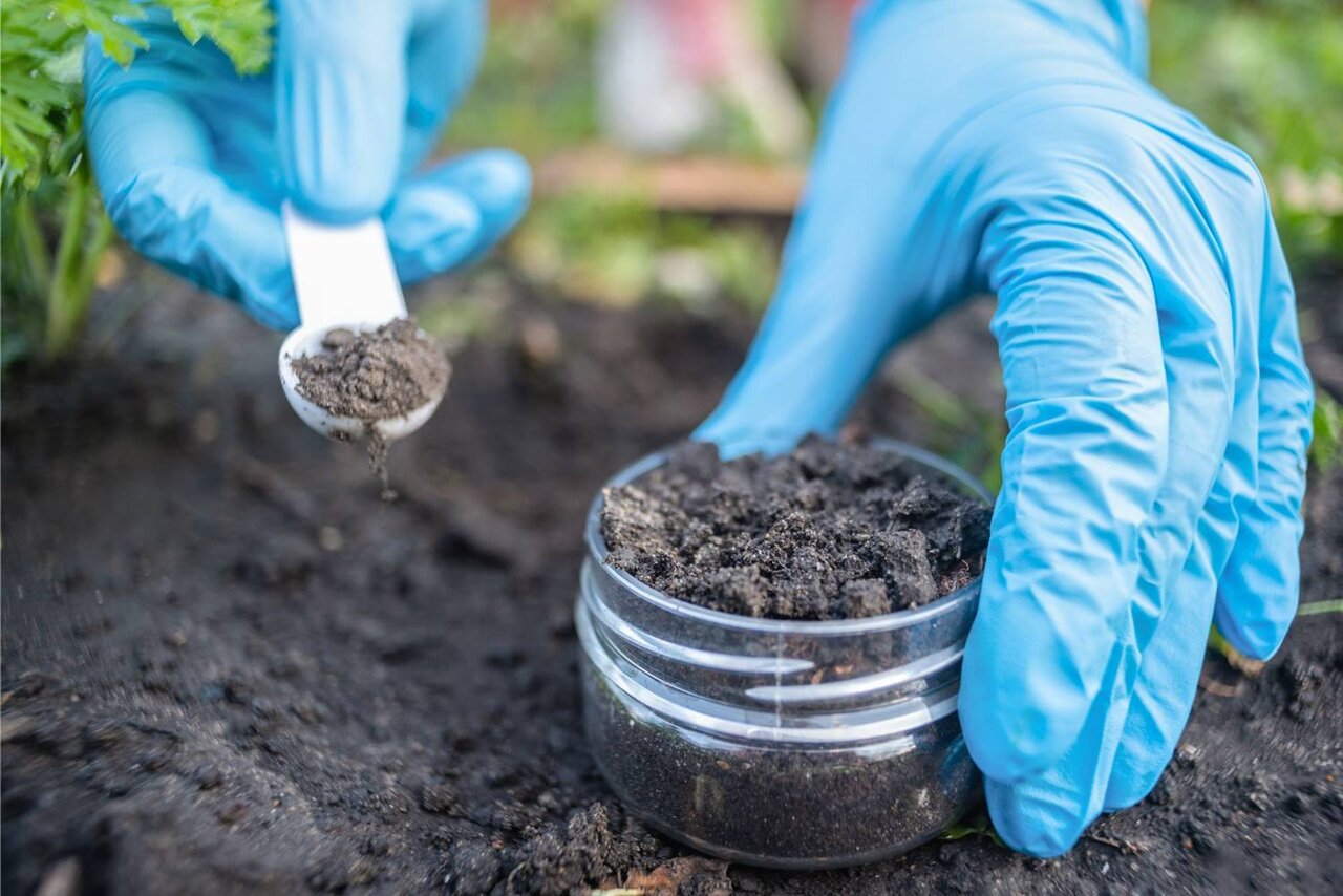 کشف آنتی‌بیوتیکی قدرتمند که مقاوم‌ترین باکتری‌ها را نابود می‌کند